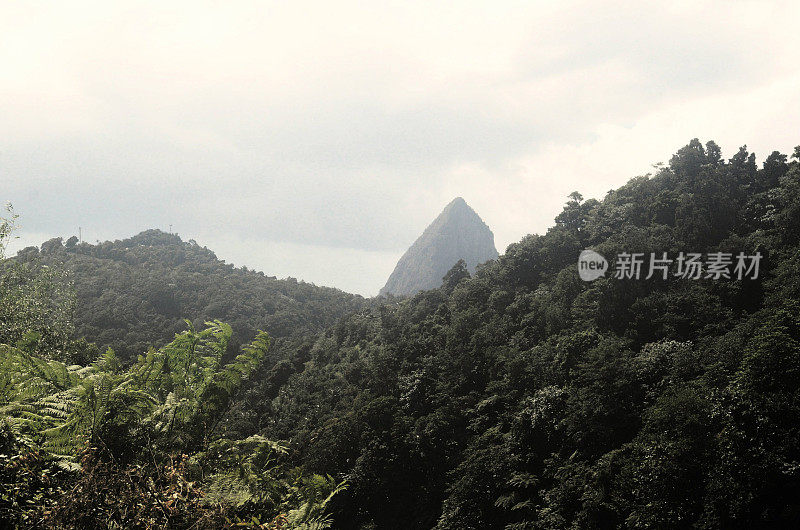 新角度的岩钉与灌木丛在前景