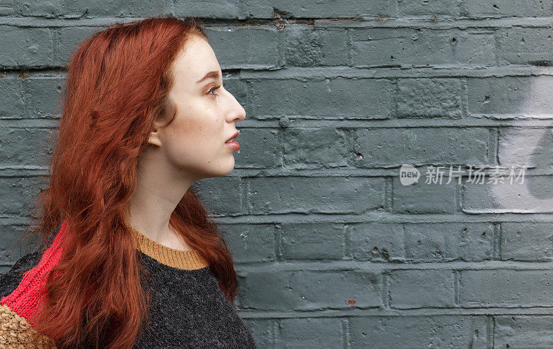 华丽的红发英国秋天户外女孩的侧面墙上涂鸦