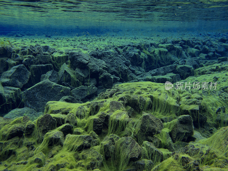 在平维利尔国家公园1浅层的西尔弗拉大陆分裂中被绿色地毯藻类覆盖的岩石分水岭的视图
