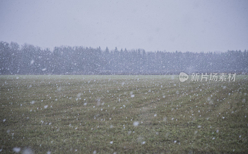 降雪