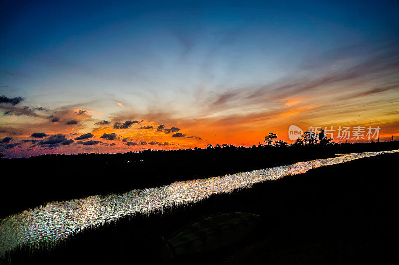 夕阳的剪影在柏树沼泽