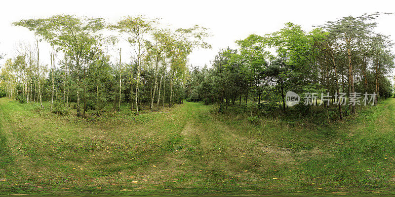 一个公园的夏末午后(360度全景)