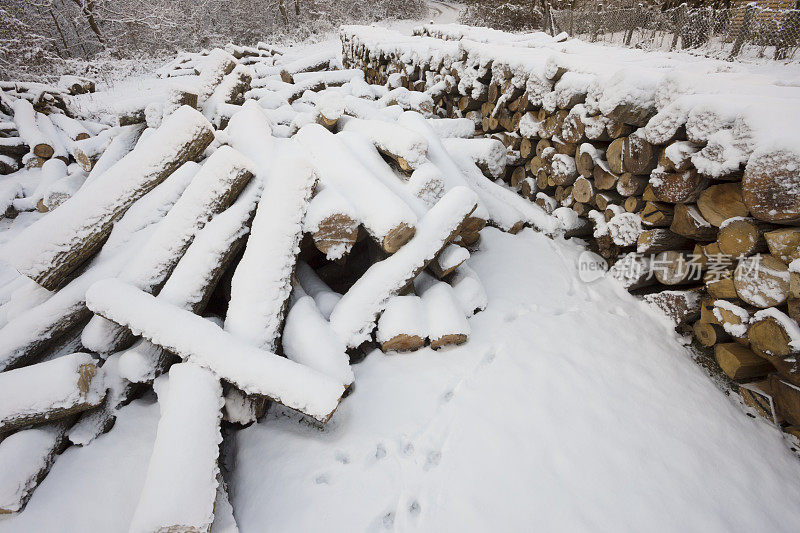 冬天森林旁边一堆又一堆被雪覆盖的柴火