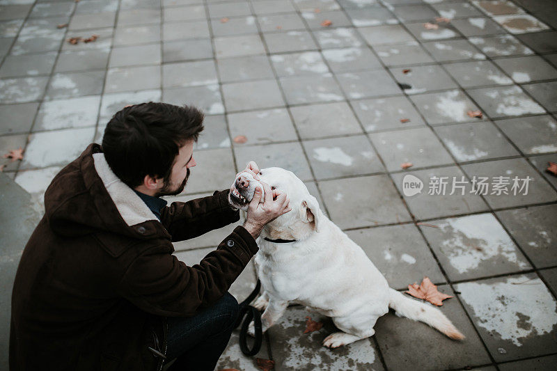 一名男子在公园里和他的拉布拉多犬玩耍