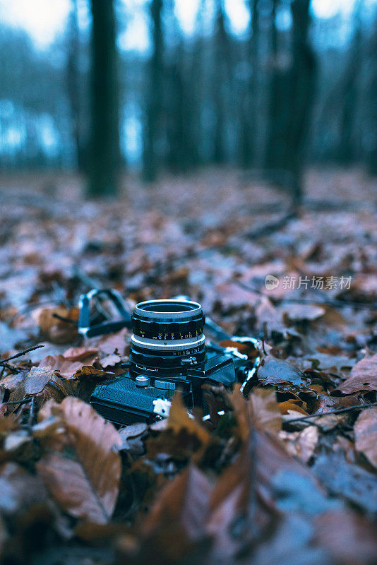 丢失的老式相机躺在森林的枯叶上。