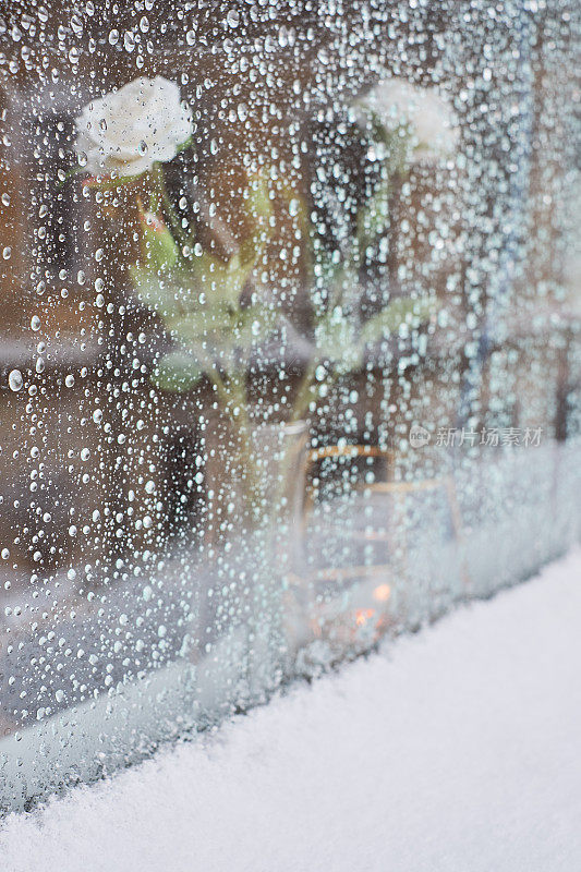 窗外是暴雪日