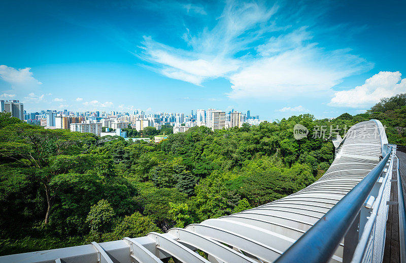 新加坡城市天际线和亨德森桥上的摩天大楼在白天。