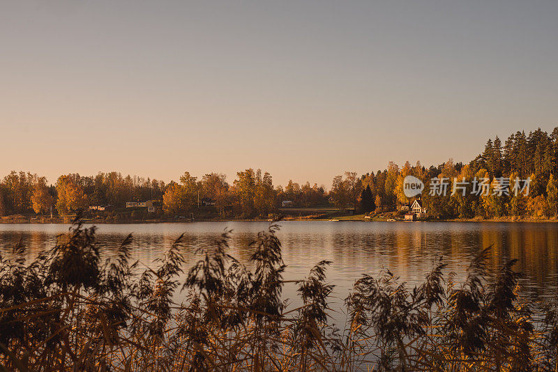 美丽的秋天自然景观在十月湖边日出