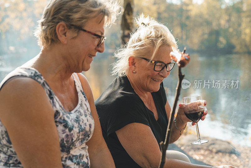 两个老年妇女在野餐