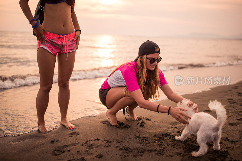 朋友和狗在海滩度假