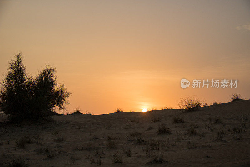 迪拜:阿拉伯沙漠上的日落