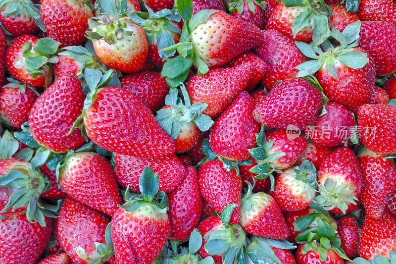 堆栈的草莓