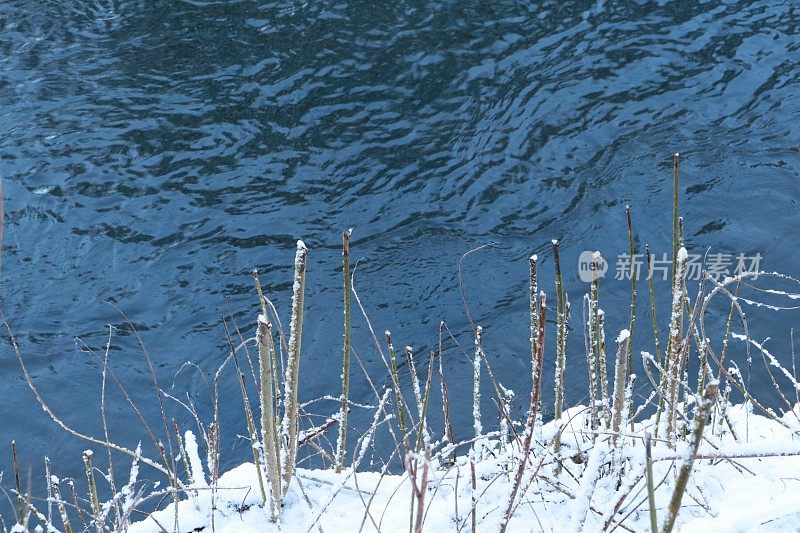 河流，河岸和树木在冬天