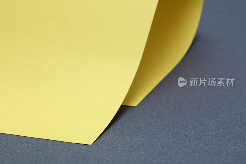 灰色背景上的黄色卷曲纸。