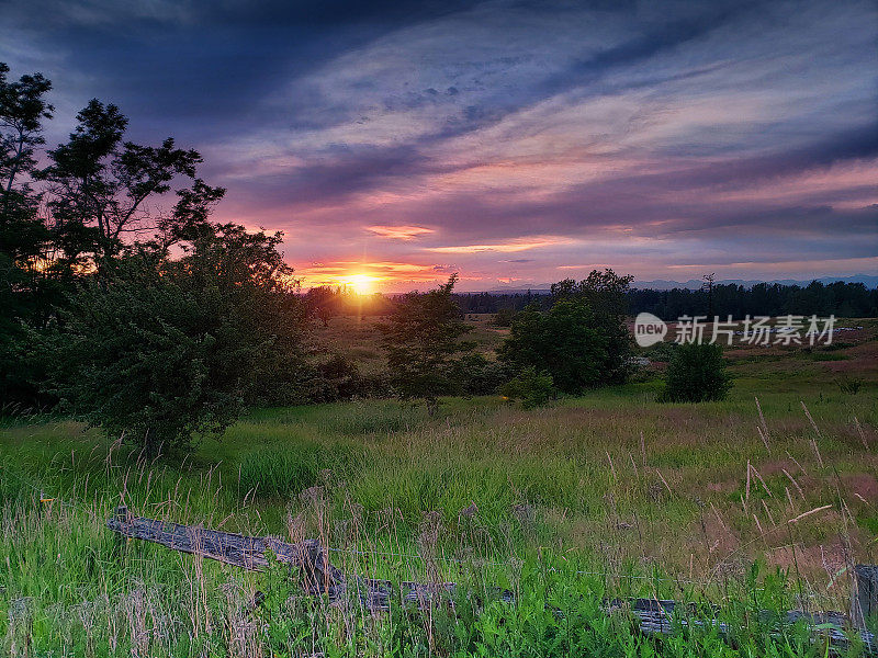 华盛顿贝灵汉田野上的日落