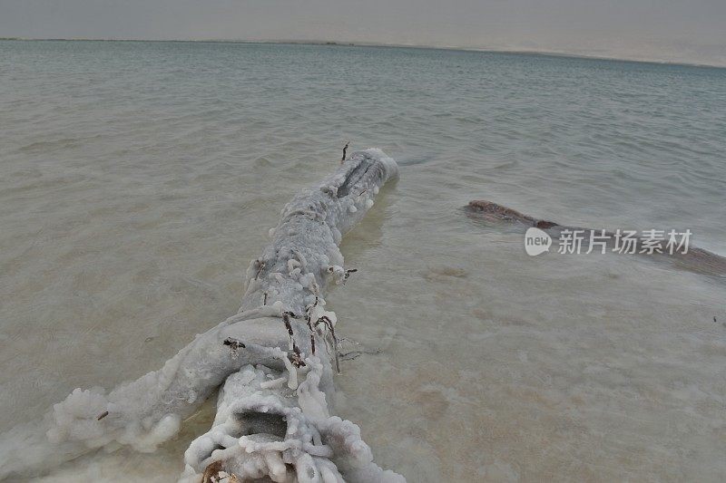 死海里一根撒满盐的水管