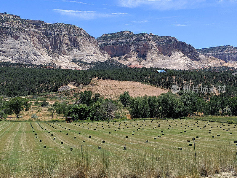 巴陵干草沿US-89靠近奥尔德维尔犹他州和卡梅尔山