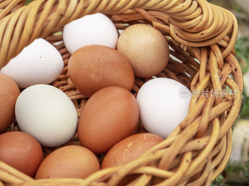 篮子里有白色和棕色的鸡蛋