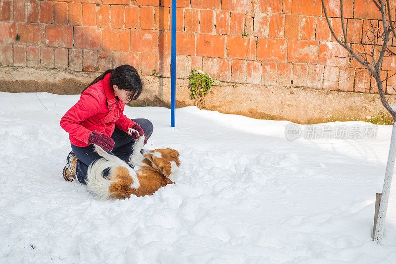 女人和狗在雪中玩耍