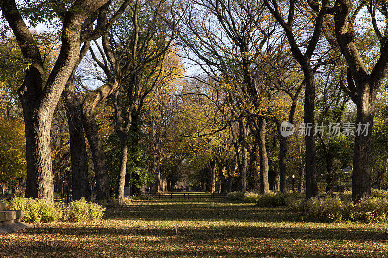 中央公园的秋景