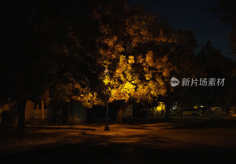 秋天夜晚的城市街道