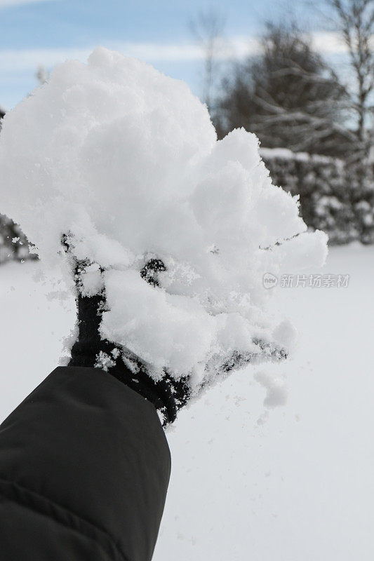 牵手雪球