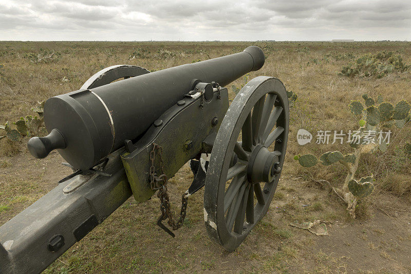 美国军队围攻大炮美国墨西哥战争帕洛阿尔托战场国家历史公园德克萨斯州