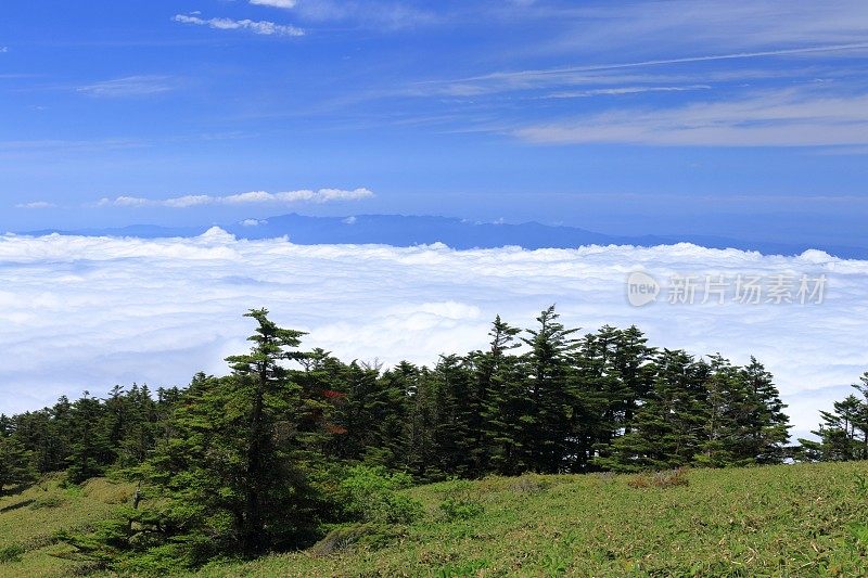 龟森，从初夏的山径望向眼前铺展的云海(四国岛是日本四大岛屿中最小的一个)