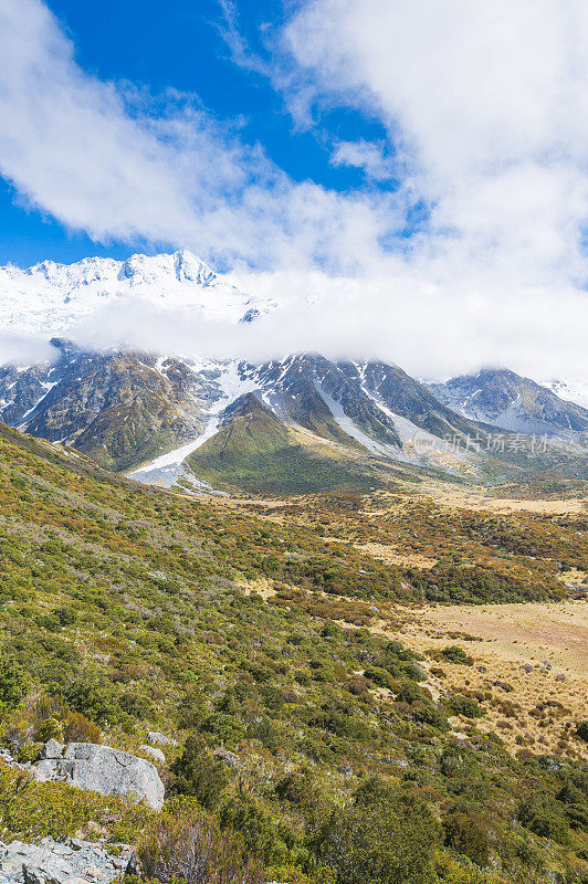 新西兰风景优美的库克山在夏季以新西兰南岛的自然景观为背景