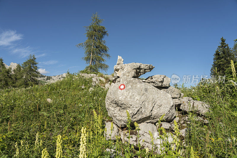 山中岩石上的点标