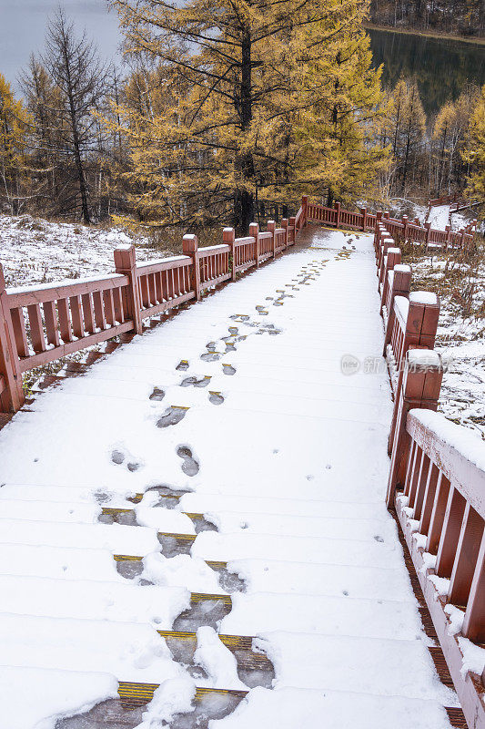 湖边树林里的木质楼梯上覆盖着积雪和脚印