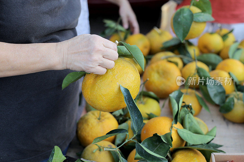 春节早市