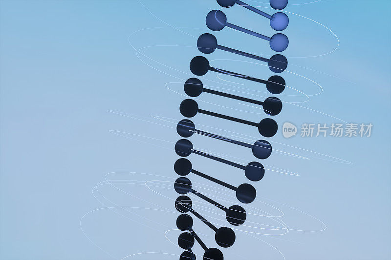 3D,对DNA