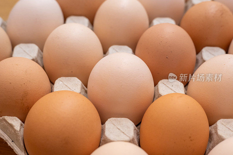 鸡蛋盘里放满了一排排白色、斑点和棕色的鸡蛋
