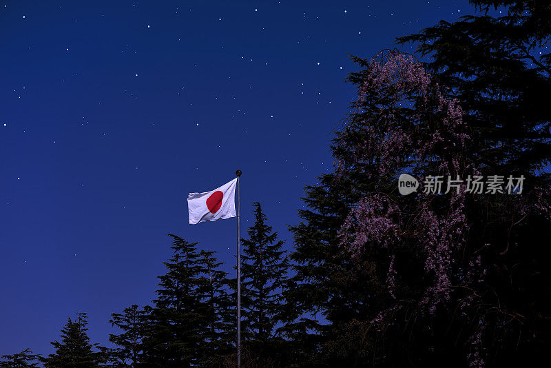 许多星星照耀着日本国旗和哭泣的樱桃树
