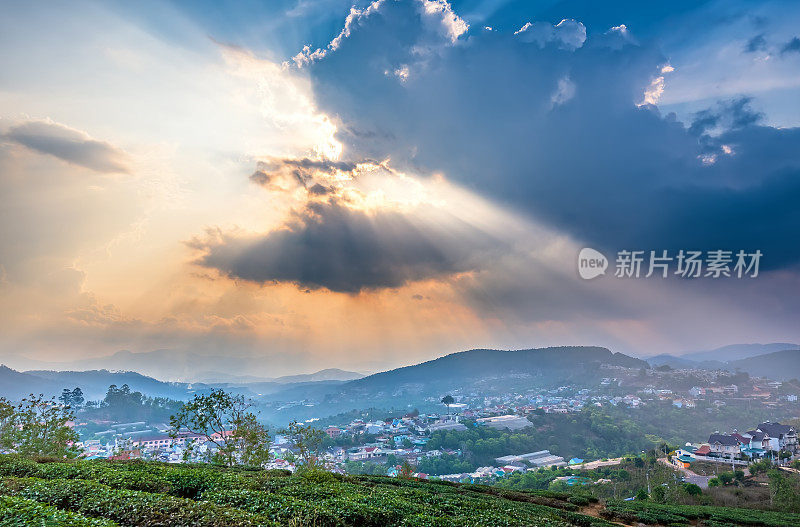 越南大叻的一个小村庄，夕阳下的茶山山谷