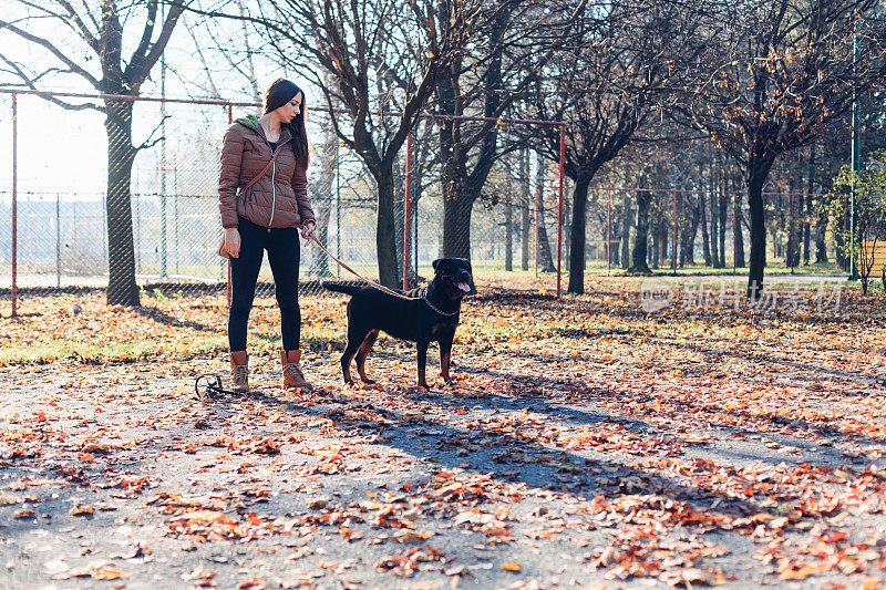 女孩和她的狗在公园里散步