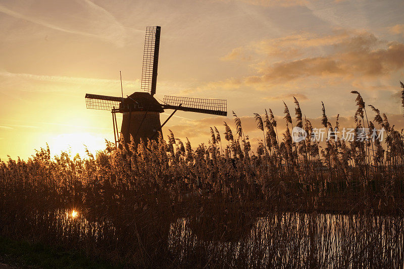 日落时分在肯德迪克的一座荷兰风车