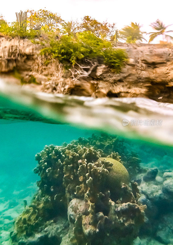 热带加勒比海洋生物水下珊瑚礁和海洋鱼类与悬崖和风景如画的景观