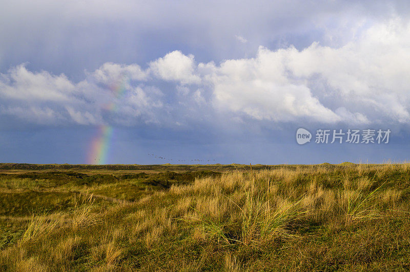 瓦登海地区特塞尔岛沙丘上的彩虹