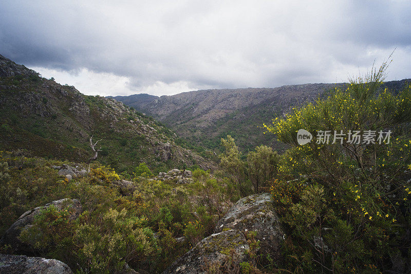 米尼奥景观