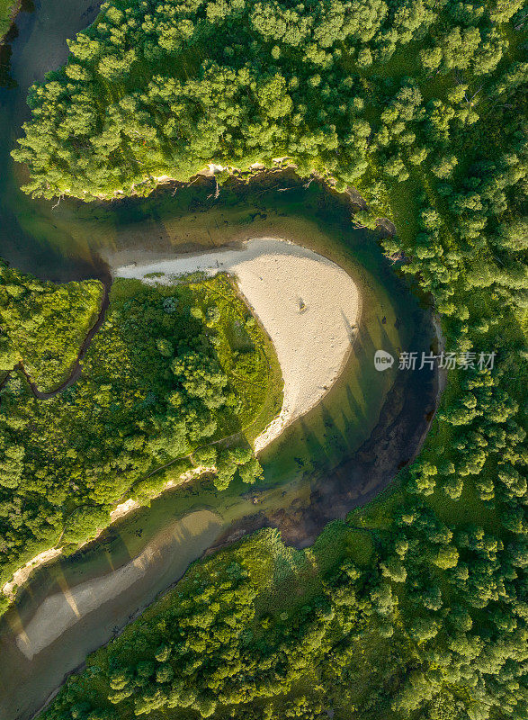 河流流经绿色森林景观