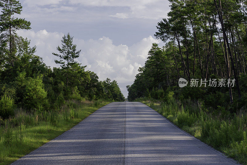 俯瞰直铺道路的中心丘陵沙松林与云酝酿在遥远的天空