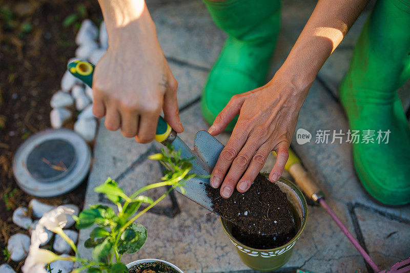 靠近人类的手，种植