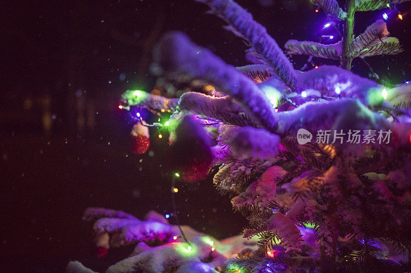 雪夜里圣诞树上的彩灯