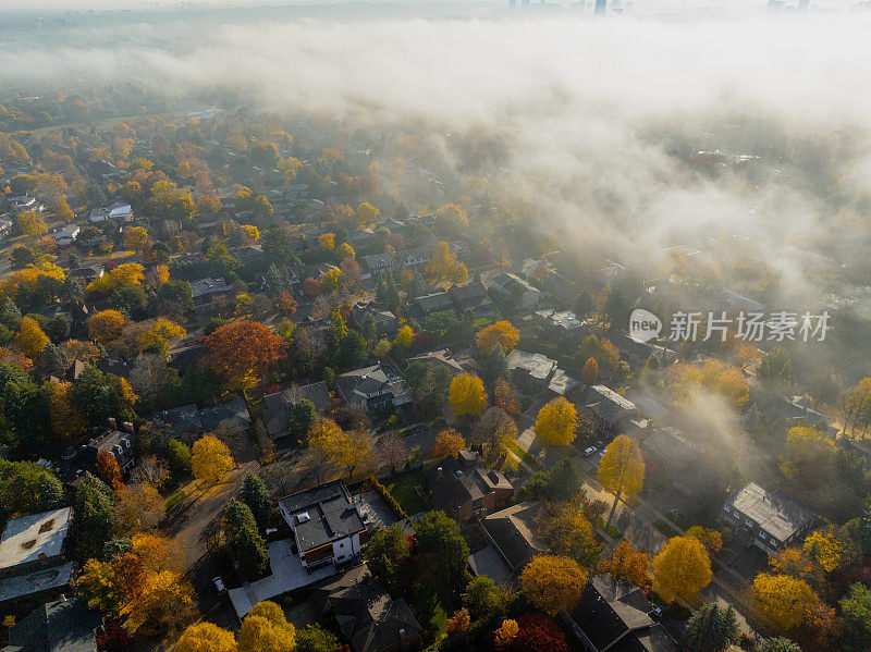 鸟瞰北约克的公园和住宅区，多伦多，加拿大，雾蒙蒙的早晨