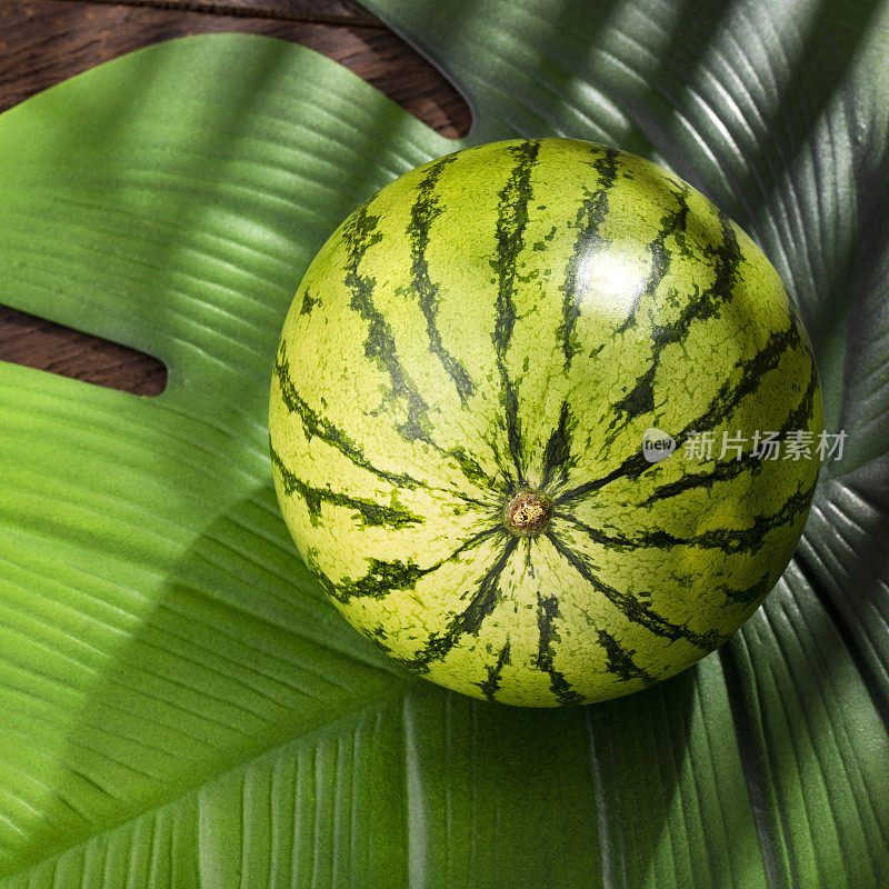 瓜——哥伦比亚热带水果西瓜