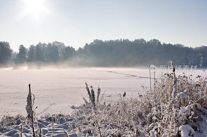美丽的冬天拍摄在湖泊和森林与冰雪。