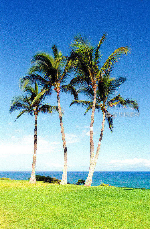 夏威夷毛伊岛