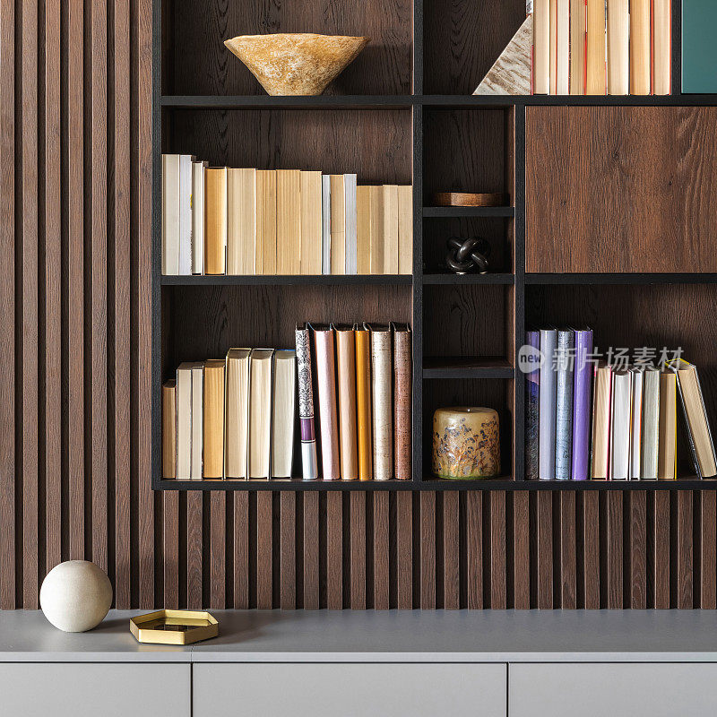 现代书柜在薄板墙。灰色的五斗橱。书柜里有很多书和配件。人字木镶木地板。猫在开阔的空间。